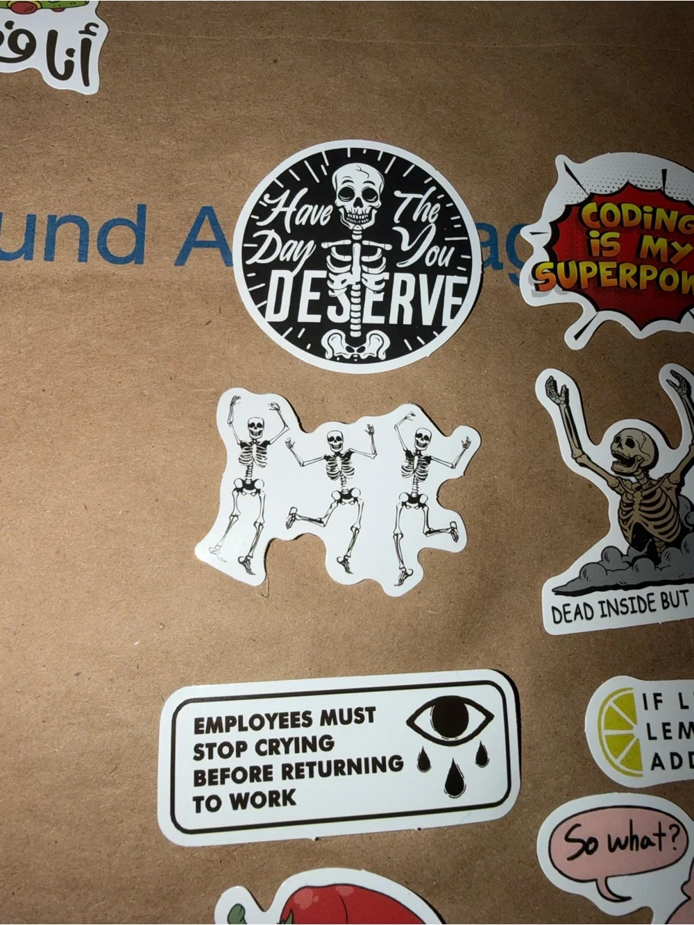 Assorted Humorous Skeleton & Sticker Pack - 10ct